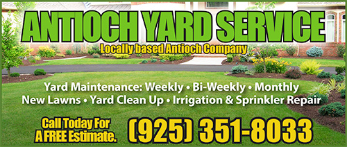 AntiochYardService 500 Ads & Coupons