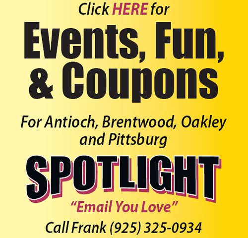 HeraldSPOTLIGHTad 500 Ads & Coupons