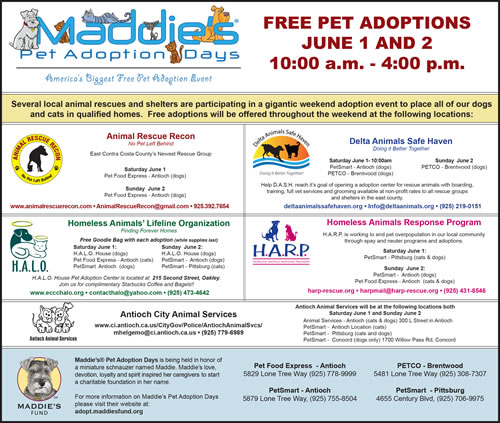 Maddies 500 Ads & Coupons