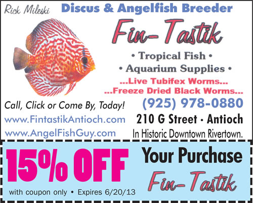 fintastic 500 Ads & Coupons