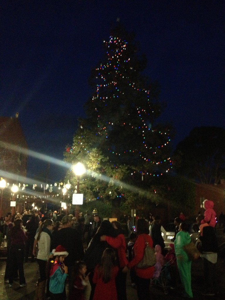 City Christmas Tree lighting.