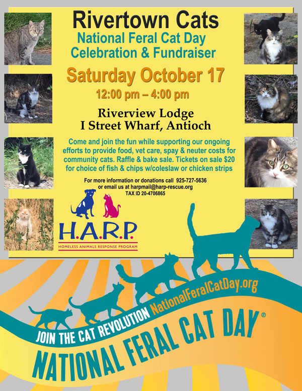 Feral_Cat_Day_Flyer_web