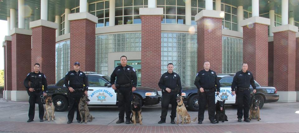 Antioch Police Department Canine Unit. photo courtesy of APD