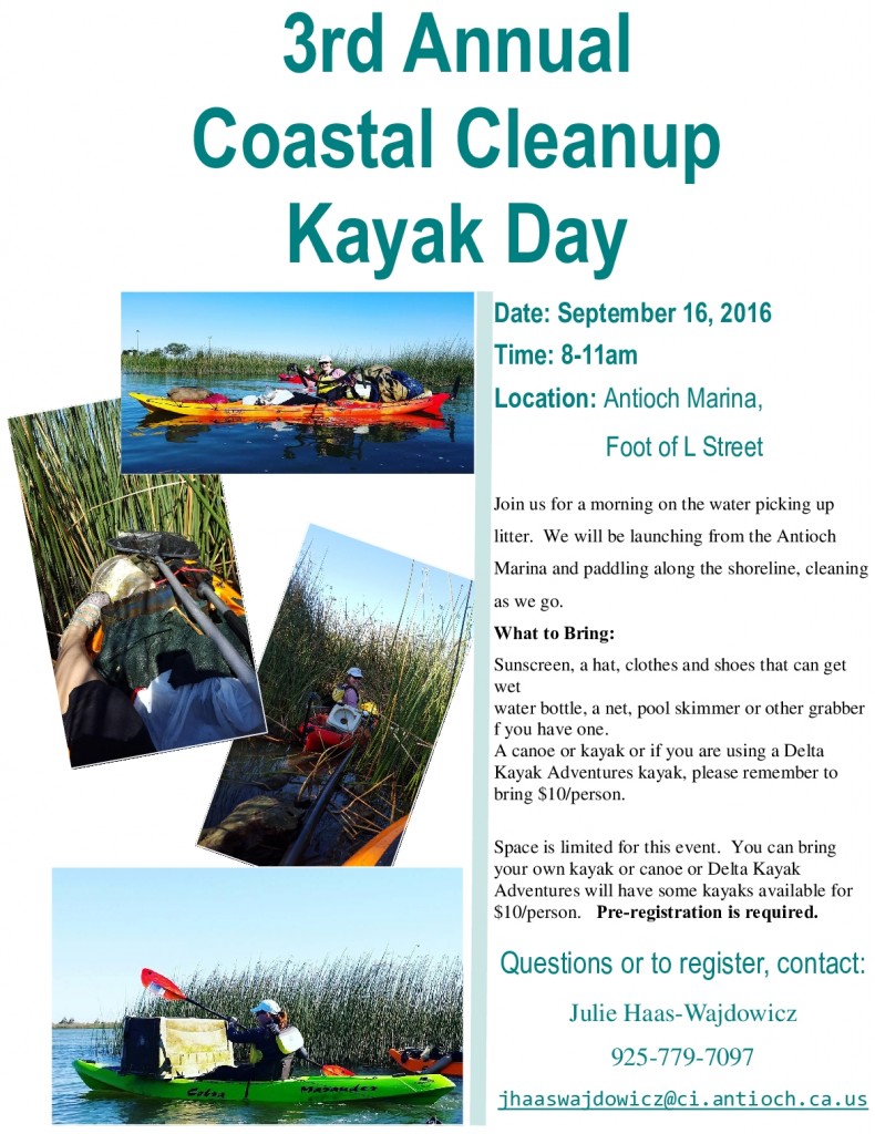 kayak_cleanup_flyer