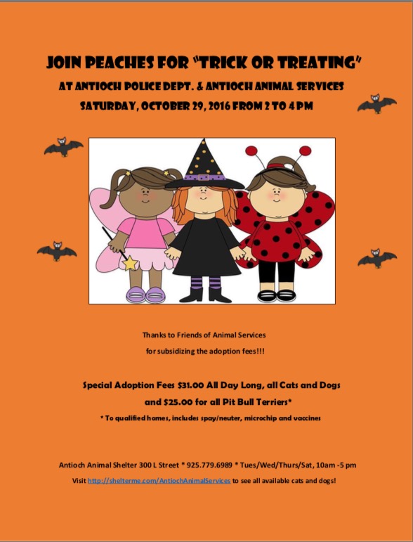 aas-trick-or-treat-10-29-16