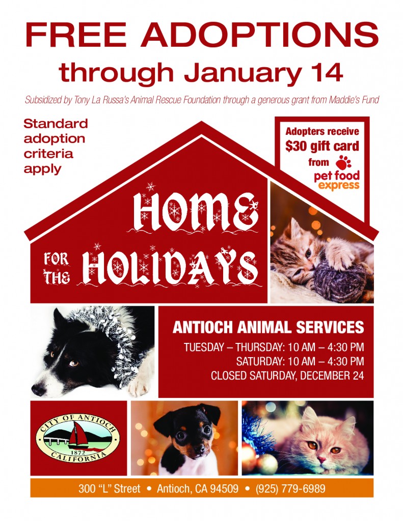 antioch_animal_services_home_for_the_holidaysv2