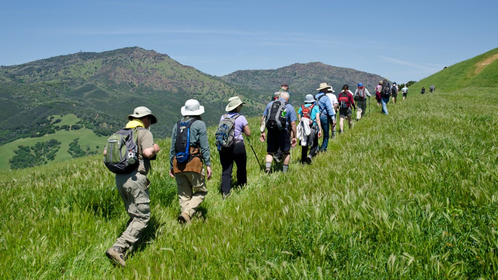 Hikers enjoy the trails on Save Mount Diablo’s Four Days Diablo Group Camping Trip, a 30-mile trek along the Diablo Trail over 4 day leading you on an adventure through rarely seen Mount Diablo landscapes. Photo by Scott Hein, Director, Save Mt. Diablo