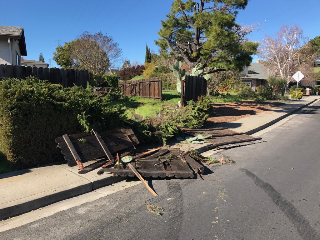 The damage to the fence and backyard caused by an errant driver, early Friday morning, Jan. 27, 2017. The cactus, named "Mickey" by owner Sam Quintero, in the corner survived.