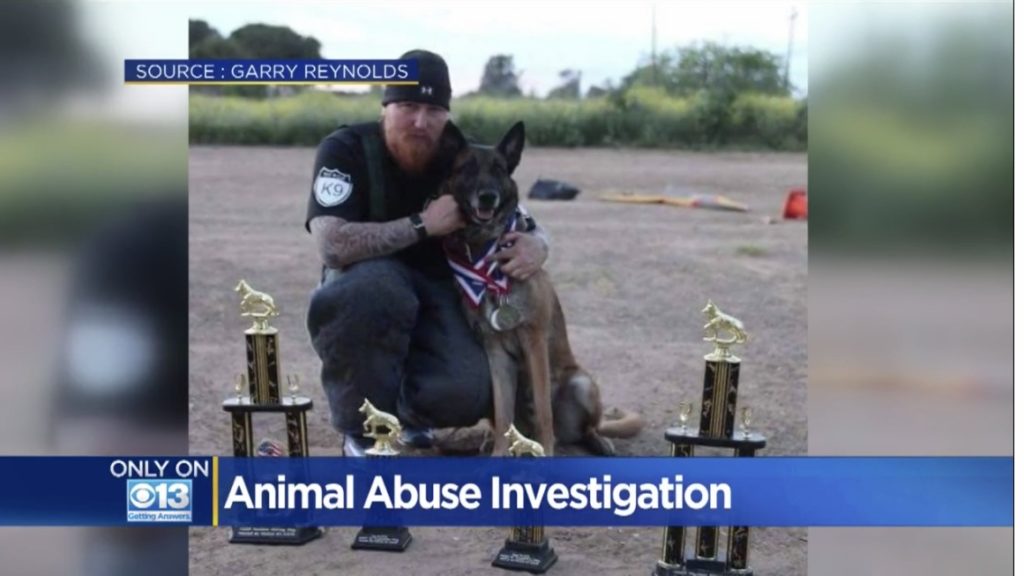 Antioch based NorCal K9 found guilty 