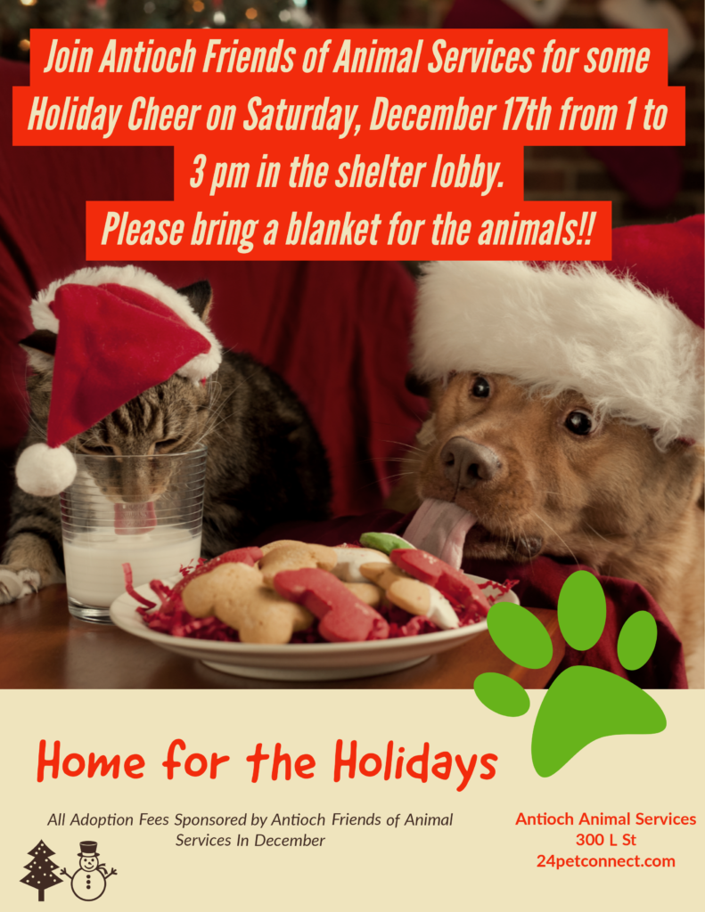Home for the Holidays event at Antioch Animal Services Saturday, Dec. 17 |  Antioch Herald