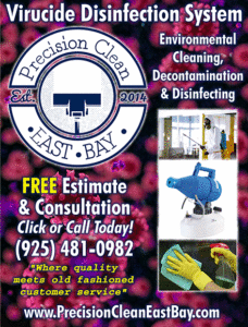 Precision-Clean-East-Bay-08-20