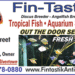 Fin-Tastik-10-20