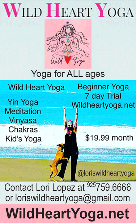 wild heart yoga schedule