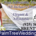 Palm-Tree-Weddings-&-Events