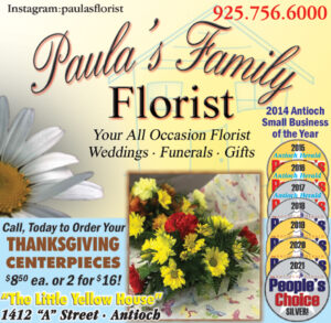 Paula's-11-25